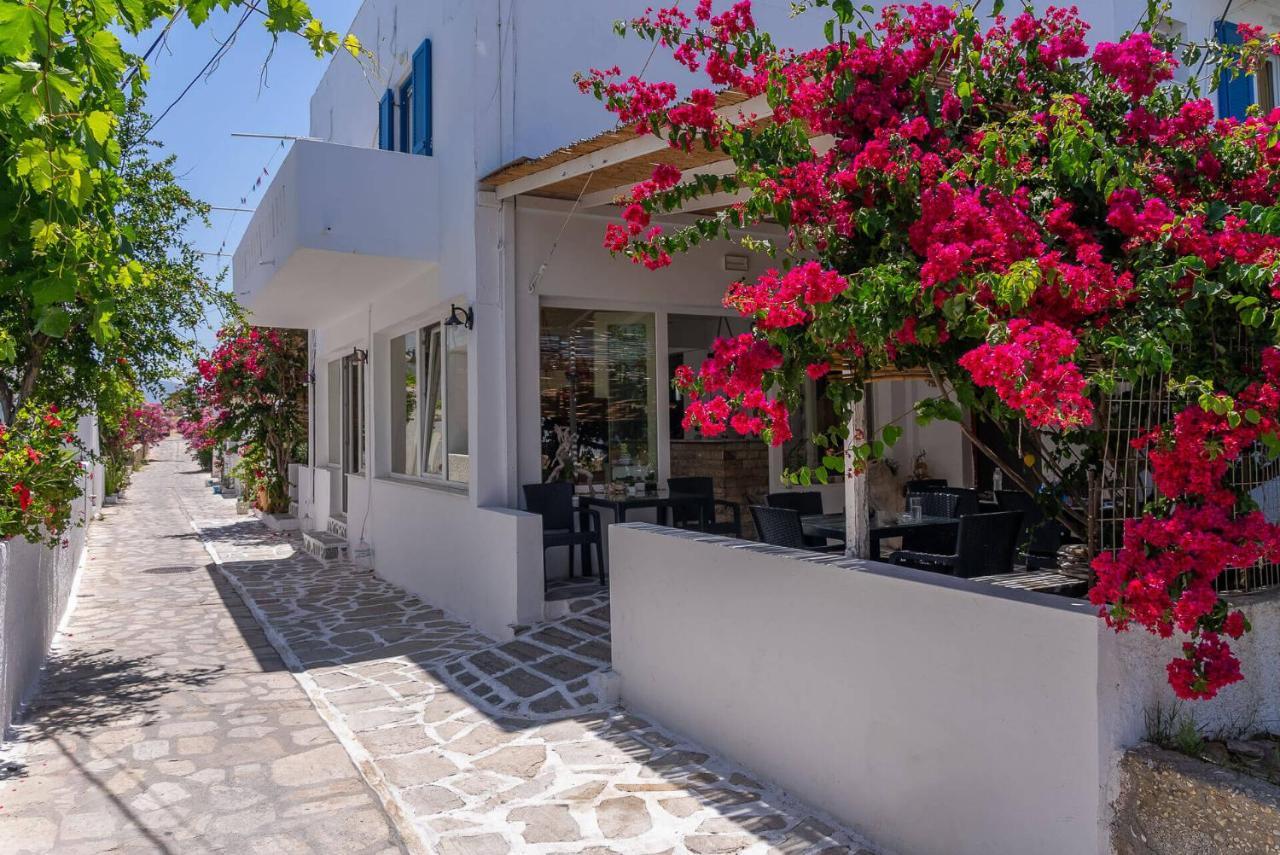Antiparos View Daire Dış mekan fotoğraf